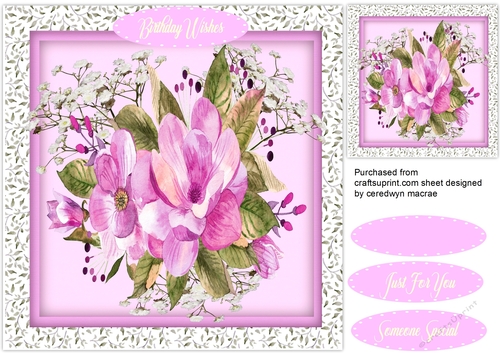 Beautiful Lilac Magnolias 