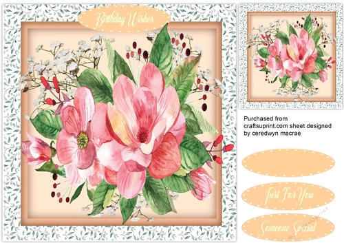 Beautiful Pink Magnolias