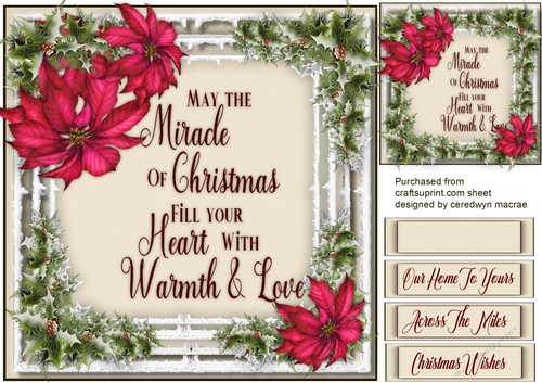 The Miracle of Christmas