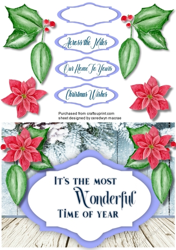 A5 ,Wonderful Time of the Year 1