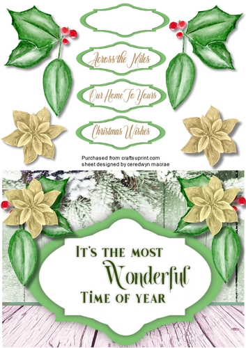 A5 ,Wonderful Time of the Year 2