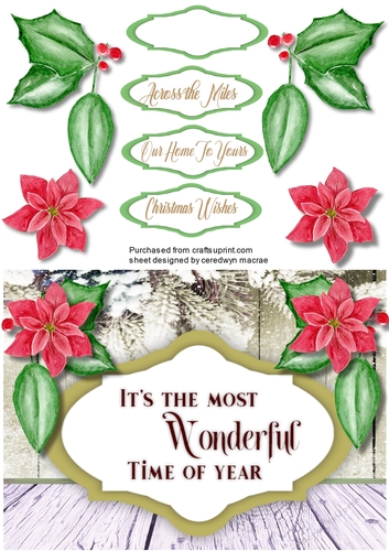 A5 ,Wonderful Time of the Year 4