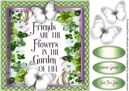 Friends and Flowers