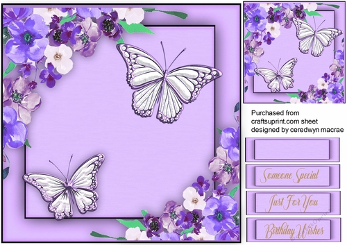Lilac Butterflys and Flowers 