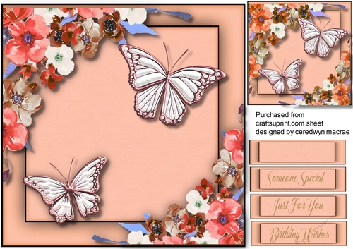  Pink Butterflys and Flowers  