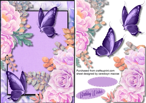 A5 Beautiful Deep Lila roses  and Butterflys