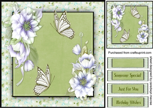  Beautiful Fantacy   and Butterflys