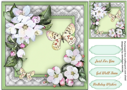 Apple Blossom and Butterfly 