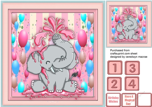 Have A Super Duper Birthday Pink 