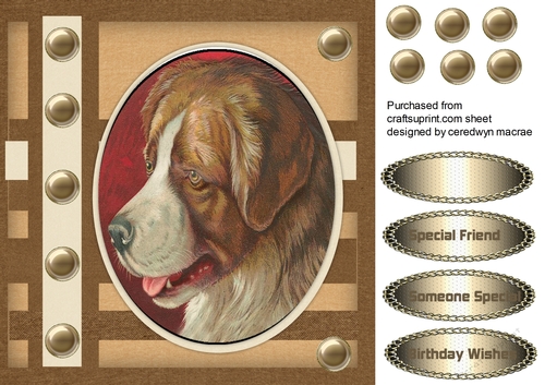Beautiful Dog in a Oval Frame 