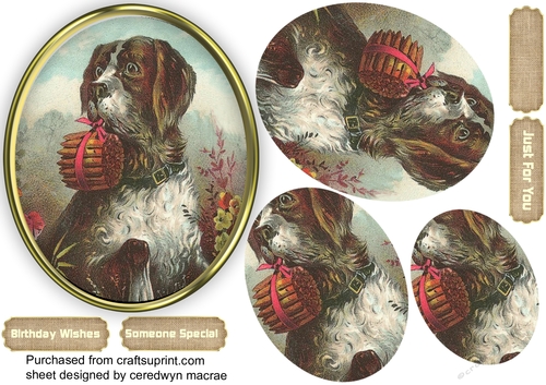 Beautiful Gun Dog in a Gold Frame , Pyramid 