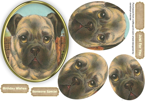 Gorgeous Dog in a Gold Frame , Pyramid 