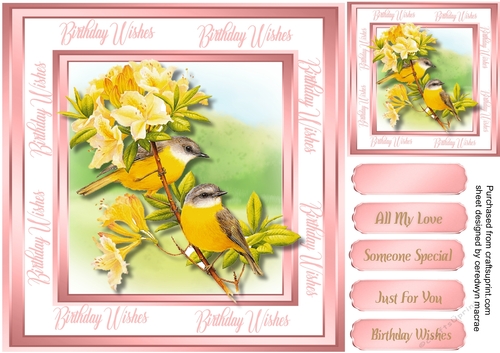 Beautiful Golden Finches 