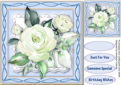 Cream Roses 