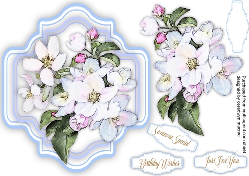Blue Frame and apple Blossom 
