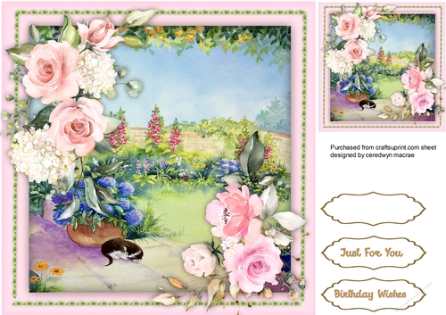 Beautiful Summer Garden 