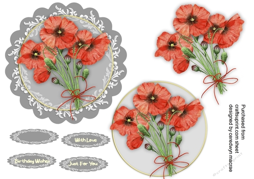 Beautiful poppies 
