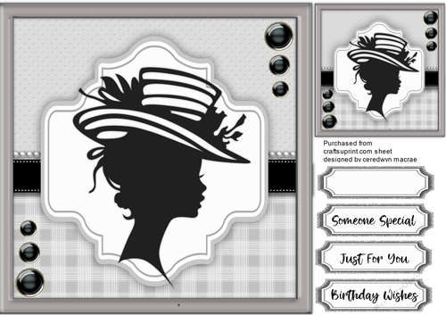 Beautiful Silhouette Lady 1 