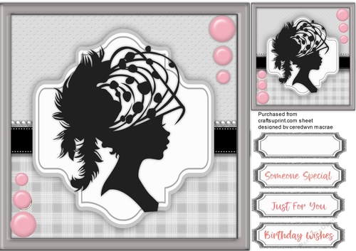 Beautiful Silhouette Lady 2