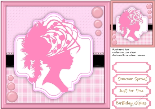 Beautiful Pink Silhouette Lady 4