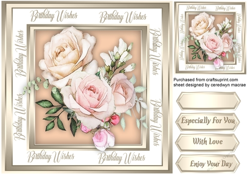 Beautiful Love Roses 1