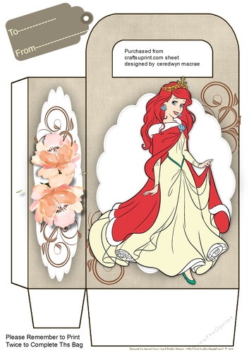 Gift Bag ,princess and Roses