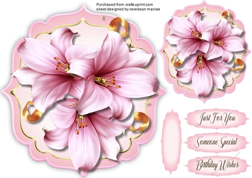 Beautiful Lily Logics Topper
