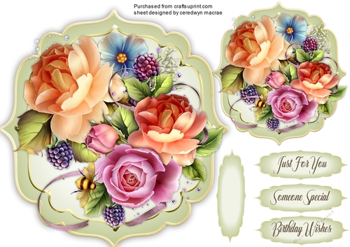 Beautiful Summer Roses