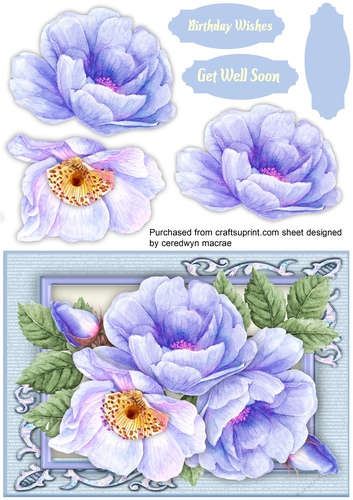 Beautiful Blue Roses