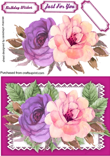 Pink and Lilac Roses