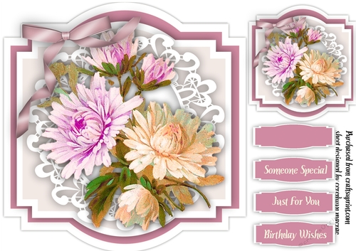 Beautiful Pink Chrysanthamums
