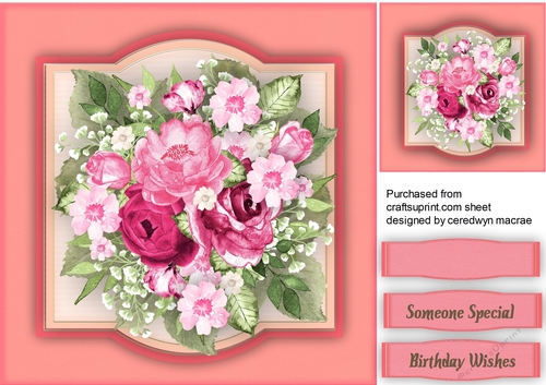 Beautiful Hot Pink Roses 
