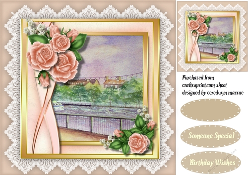 Beautiful Pink Roses and Semmetrical Bow
