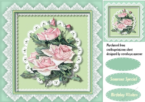 Beautiful Pink Roses on Lace