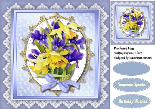 Summer Irises and Daffs
