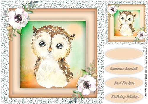 Beautiful Water coloured Owl
