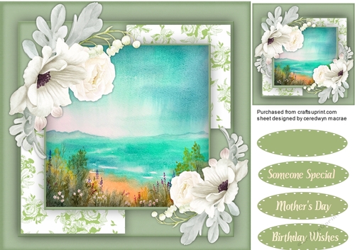 Beach Scene and Anemones  