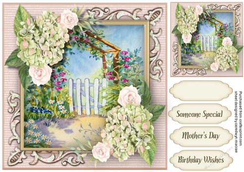 Beautiful Rose Garden