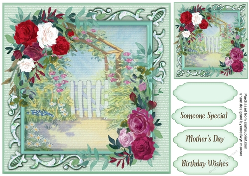 Beautiful Rose Garden 3