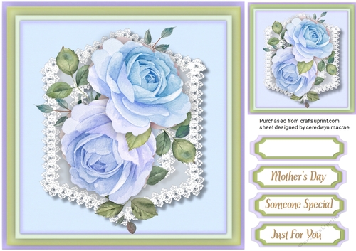 Blue Roses on Fine Lace 