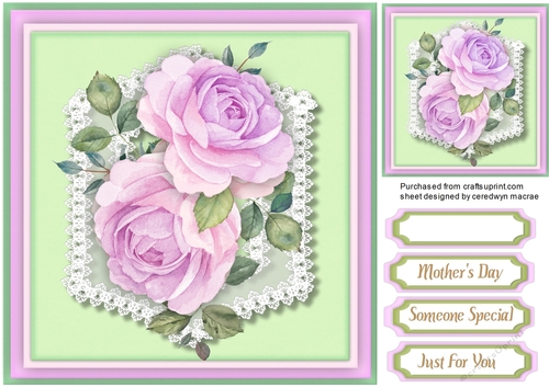 Lilac Roses on Fine Lace 