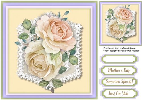 Peach Roses on Fine Lace 