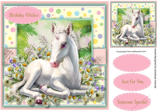  Adorable Baby Unicorn 