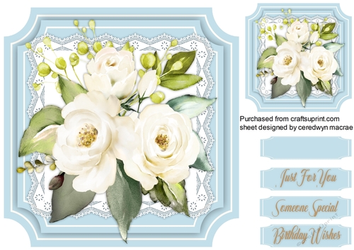 Beautiful Cut out Frame and Roses