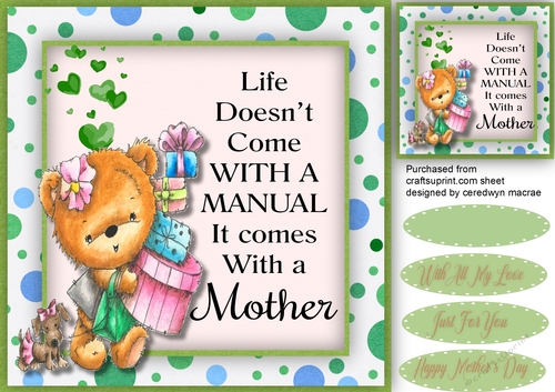 Bear Born To Shop , 