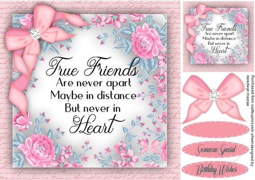 True Friends  are Never Apart 3