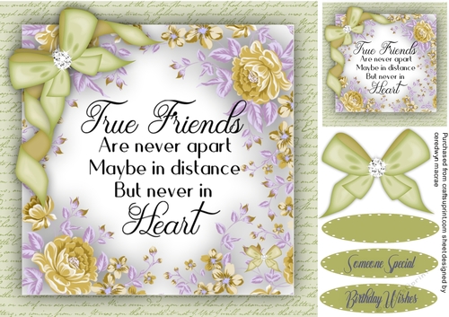 True Friends  are Never Apart 6