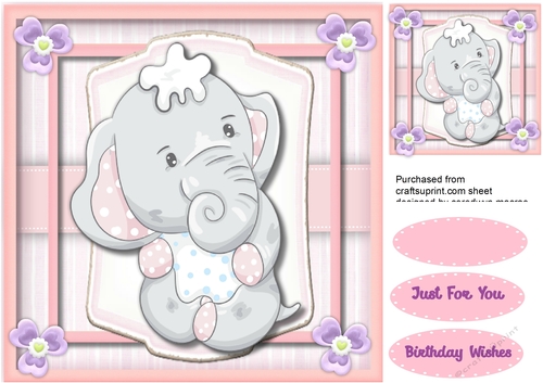 Ellies Pink Birthday Wish 2