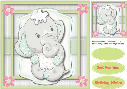 Ellies Green Birthday Wish 3