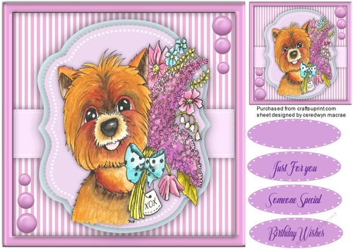 Adorable Terrier Treats